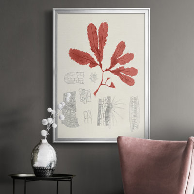 Toile encadrée rétro vintage Coral Study II - prête à être accrochée