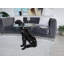 Ayriel Glass Top End Table