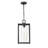 Zandres 9" Wide Outdoor Hanging Lantern