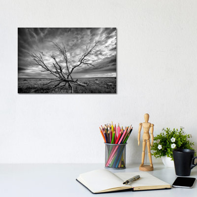 Colorado Storm by Dan Ballard - Wrapped Canvas Gallery-Wrapped Canvas Giclée