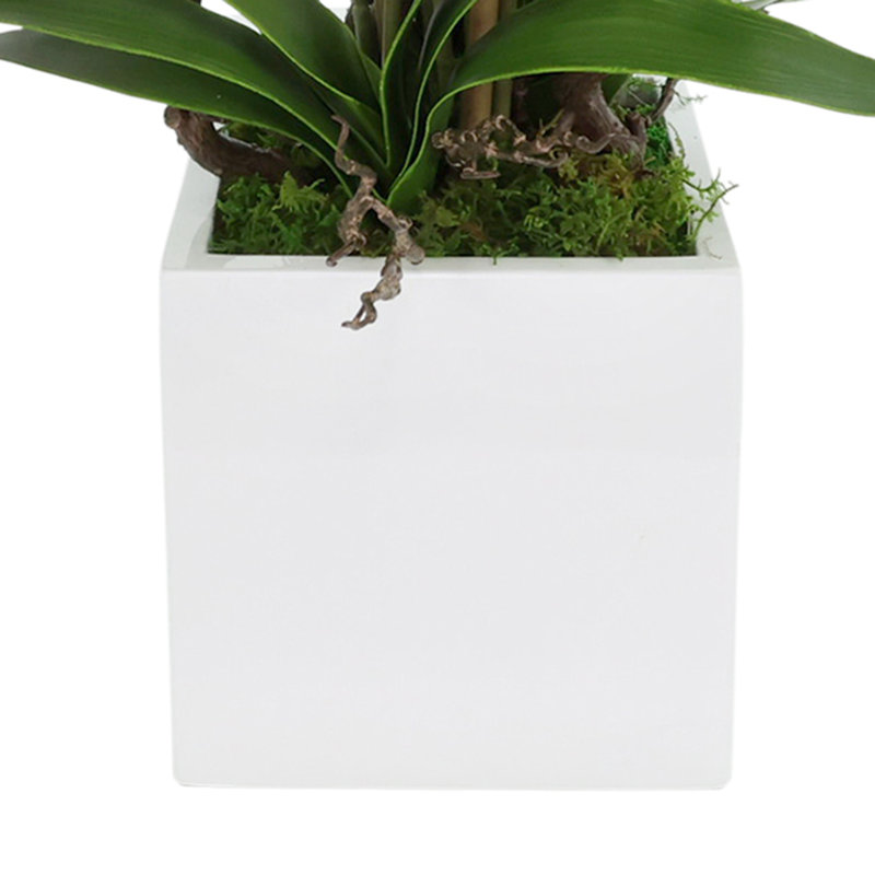 Pink Orchids Arranges in Square Fiberstone Planter