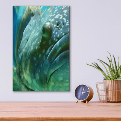 Epic Art 'Turquoise Splash One' By Steve Hunziker " Turquoise Splash One " by Steve Hunziker OOB