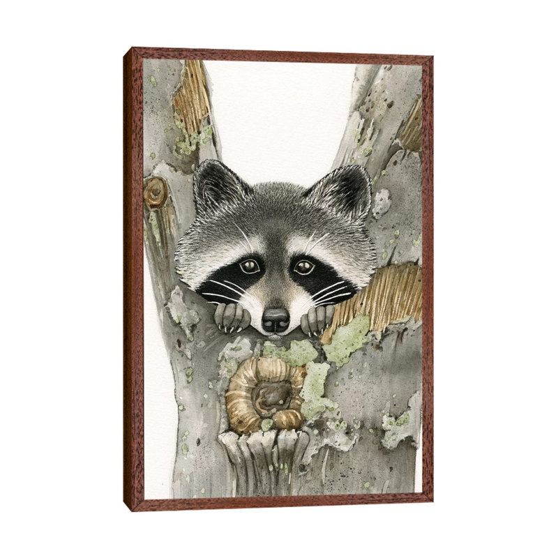 Raccoon by Tracy Lizotte - Painting on Canvas, Classic Brown Wood Framed, 152.4cm H x 101.6cm W x 3.81cm D