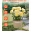 Pot à fleurs en résine avec résistance aux intempéries et drainage réglable pour une utilisation extérieure en forme de fleurs
