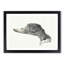 Head of a Duck by Jean Bernard - Picture Frame Drawing Print-55580229-55580228