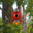 Rocket Bird House