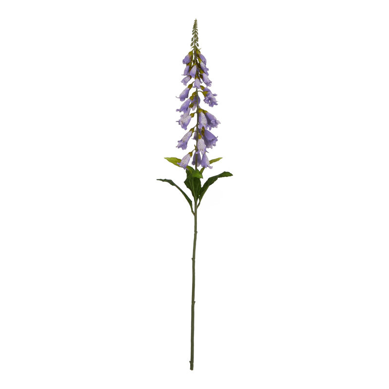 The Natural Garden Collection Foxglove, 11cm H x 6cm W x 6cm D, Purple