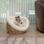 Tasse pour chien Tucker Murphy Pet ™-437913267-429694444