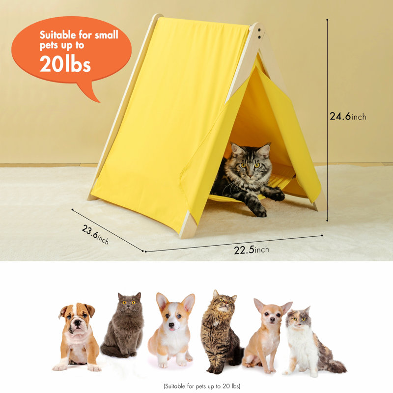 Tente pour chat Chantea, Jaune