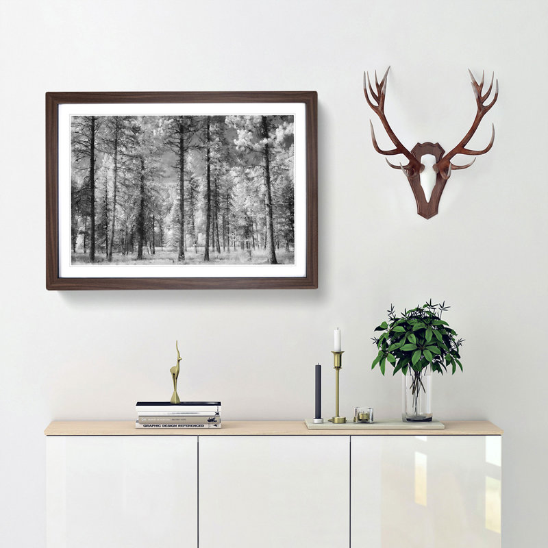 Montana Forest - Picture Frame Photograph Print, Walnut Framed, 62cm H x 87cm W x 2cm D
