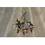 Oak 24cm W Hardwood Flooring-122723038