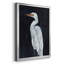 Calm Great Egret I - impression-1507152964-1507152963