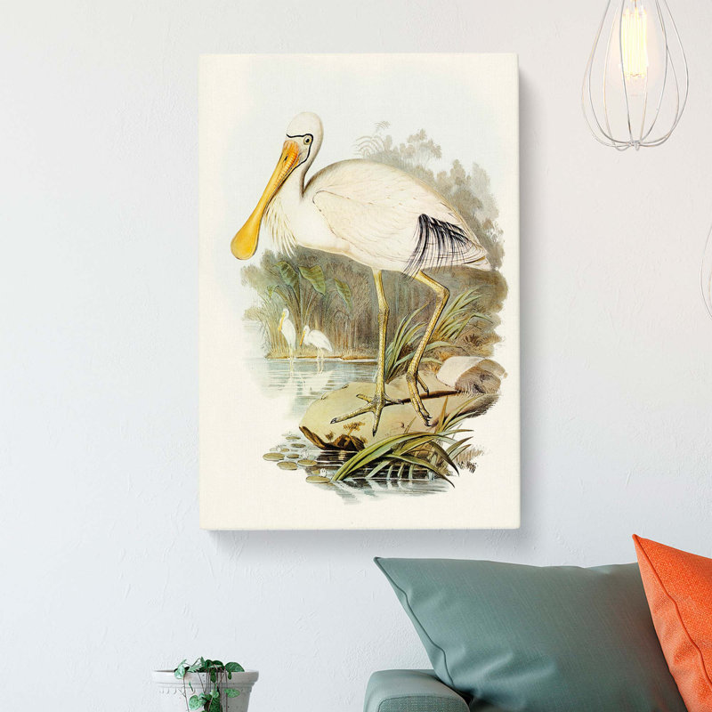 Yellow-Legged Spoonbills by Elizabeth Gould - Wrapped Canvas, 60cm H x 40cm W x 3cm D