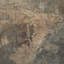 Sonora Noche by Paul Meyer-1127320584-1127320597