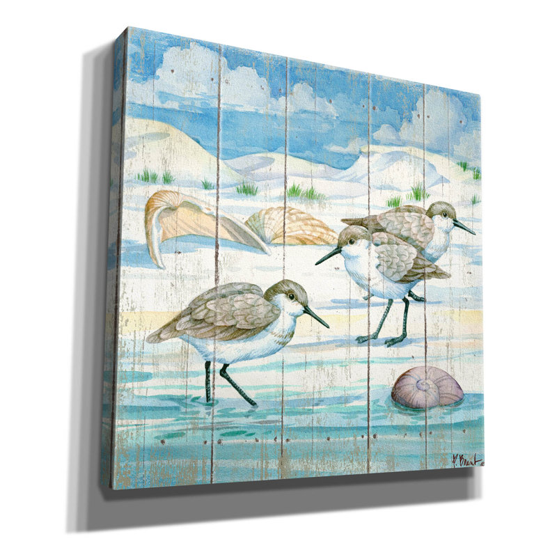 «Shoreline Sandpipers I» par Paul Brent, reproduction d'art sur toile, H 18 po x l 18 po x P 0,75 po