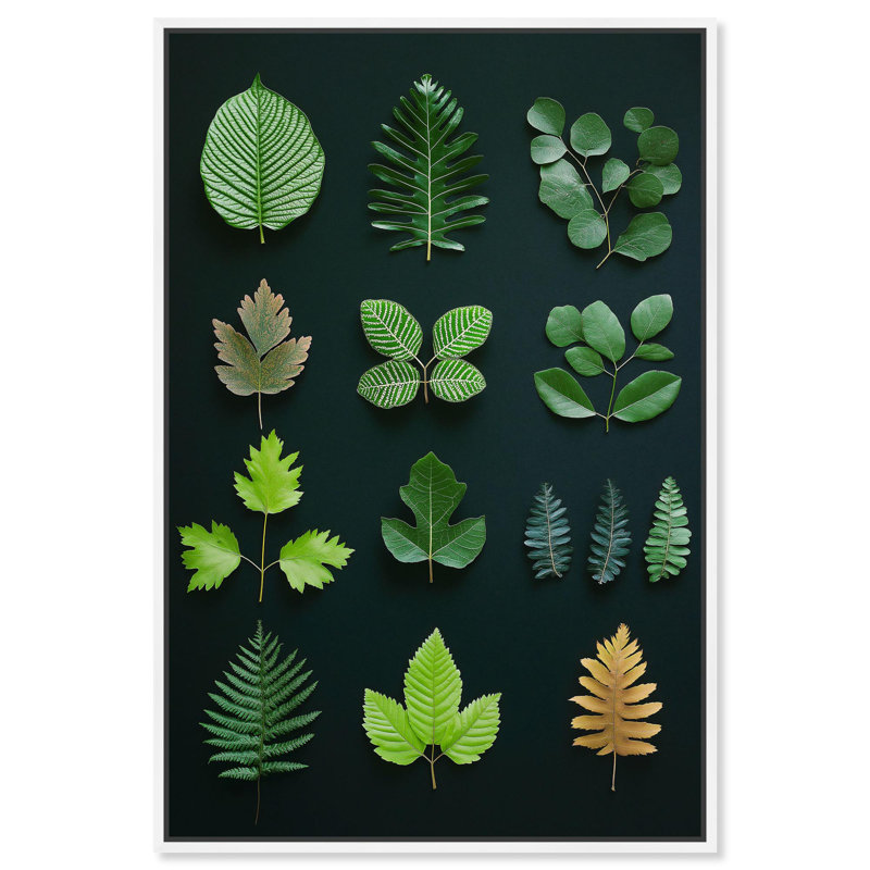 «Leaf Library I», reproduction botanique sur toile par Art Remedy, H 55 po x l 37 po, Cadre blanc