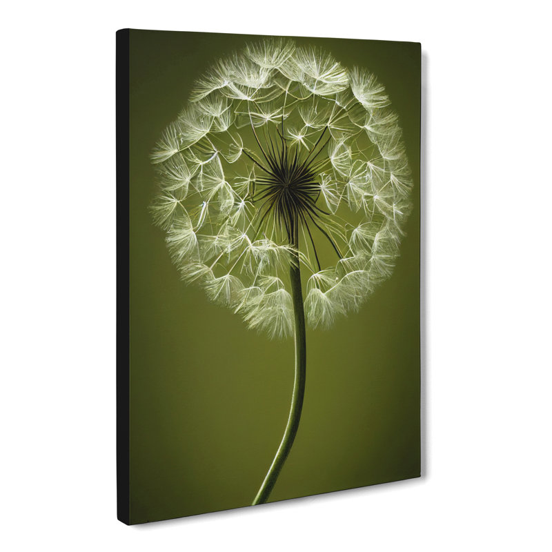 Dandelion Portrait Vol.1 - Wrapped Canvas, 50cm H x 35cm W x 3cm D