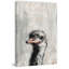 Sisto «Ostrich You Cute», reproduction sur toile tendue-27175467