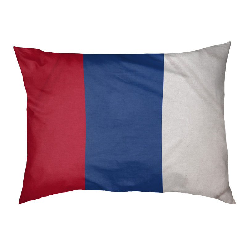 Coussin Designer, Moyen (L 18 po x l 28 po), Rouge / bleu royal / blanc