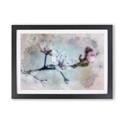Flowers of a Cherry Blossom - Framed Print