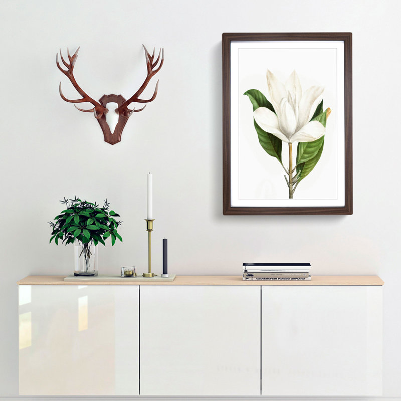 White Southern Magnolia Flower by Pierre-Joseph Redoute - Picture Frame Art Prints, 65cm H x 48cm W x 2cm D, Walnut Framed