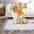 Modern Machine Washable Area Rug with Border, Stain Resistant & Non-Slip, Minimalist Farmhouse Accent Rug for Dining Room, Office, Bedroom, Grey-21461076