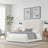 Dezyah Upholstered Standard Bed-1040265531-1040265530
