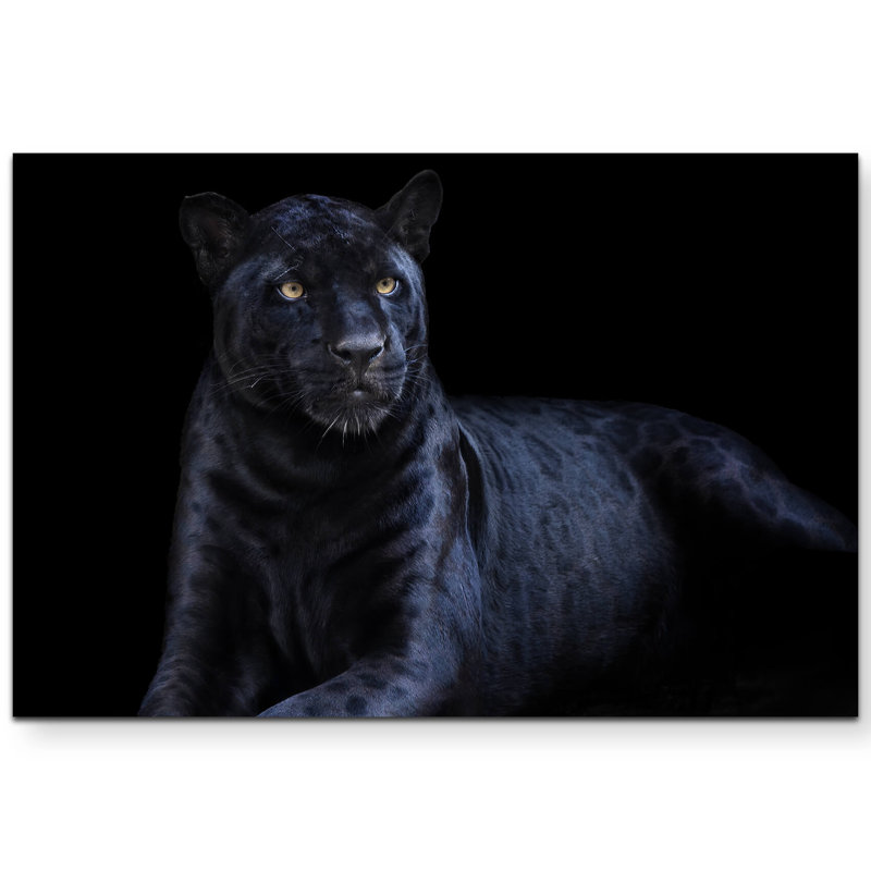Wrapped Canvas Print, 120cm L x 80cm W