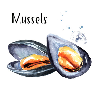 Moules Kassidy, fruits de mer par Daria Ustiugova
