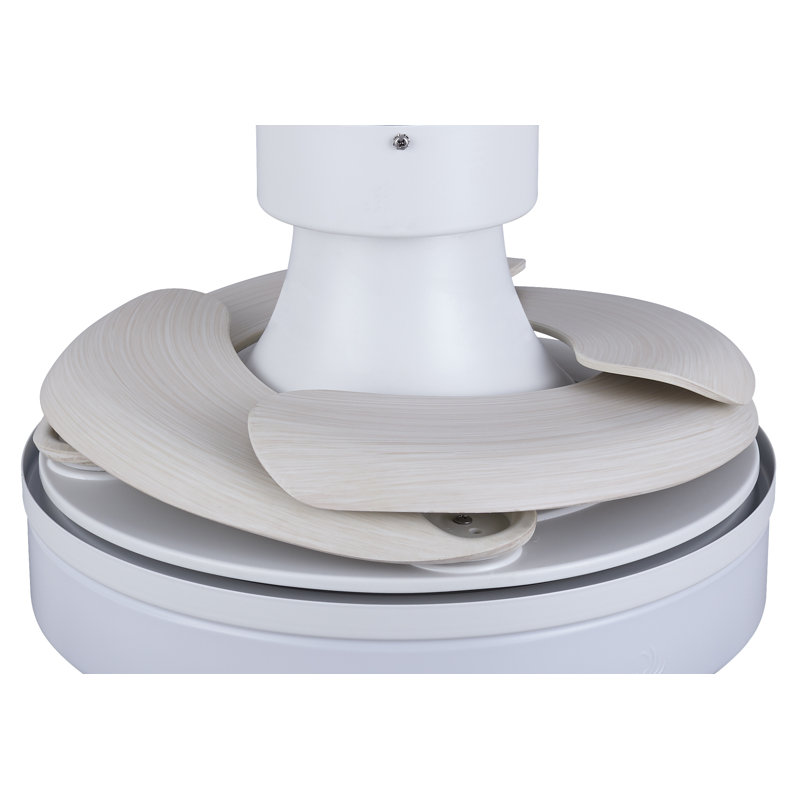 Ventilateur de plafond noir mat 36 "avec lumière Orren Ellis Scheryl, Blanc