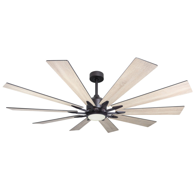 Kayeden 66'' Ceiling Fan with LED Lights