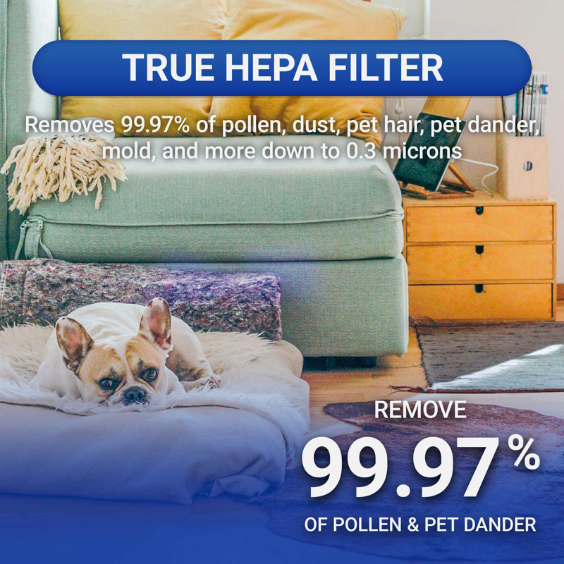 Advanced Pure Air Shield HEPA Filter Air Purifier