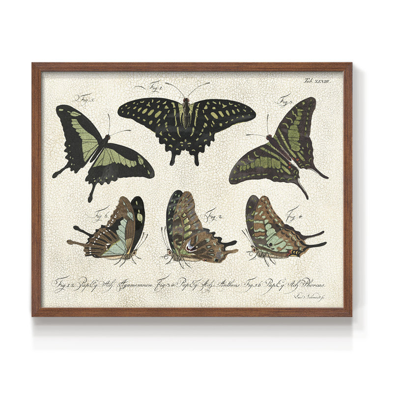 «Crackled Butterflies II», reproduction encadrée, H 22 po x l 28 po, Noyer