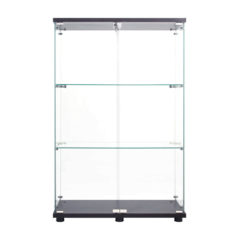 Two Door Glass Cabinet Glass Display Cabinet With 3 Shelves, Black
