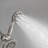 Dual Shower Head 1.8 GPM GPM-93249649