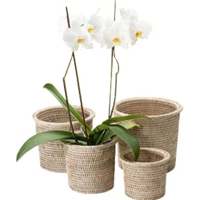 Wicker Decorative Basket Set