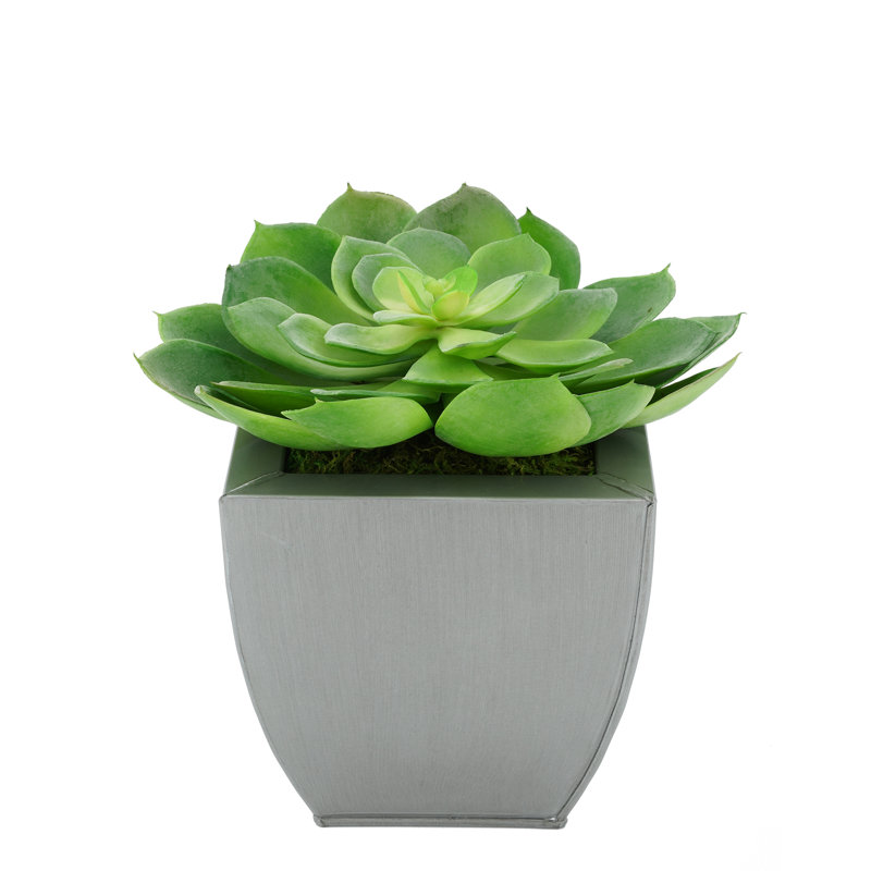 Succulent artificiel 2" en pot, Argent