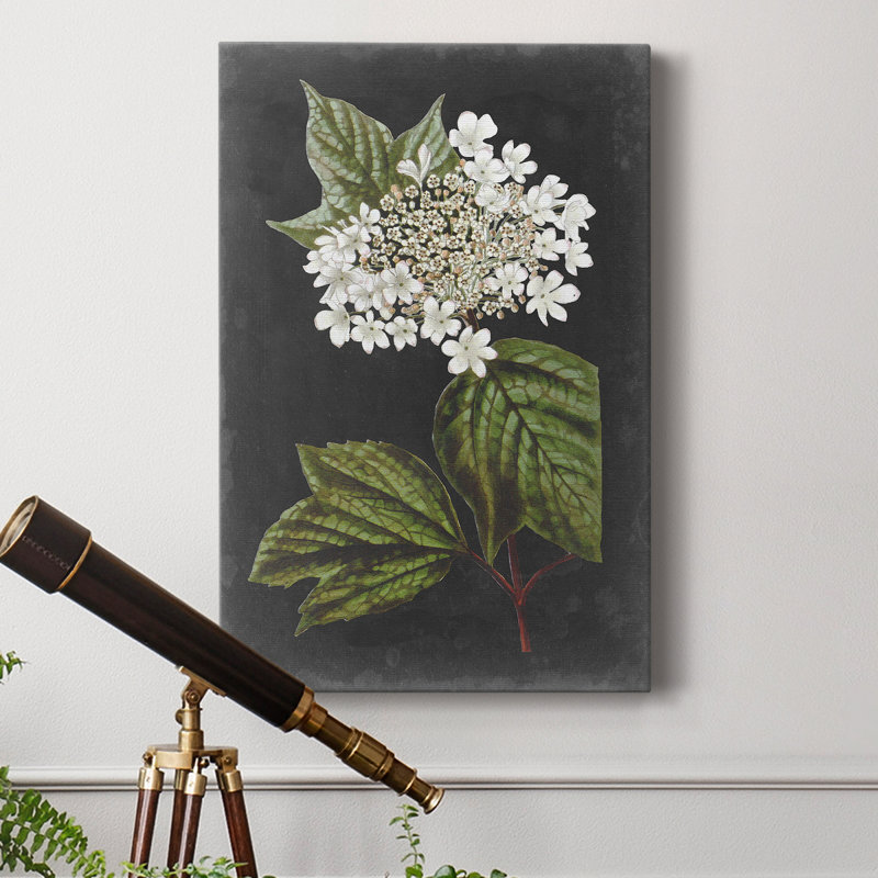 Fleurs blanches dramatiques III - impression, H 48 po x l 32 po x P 1 po