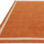 Anwitha Bordered Handmade Orange Area Rug-1525467180