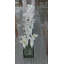 Centre de table Casa Moderna Calla Lilies-497811932