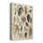 Seashell Display " Seashell Display "-37453445