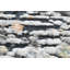Abbing Abstract Area Rug-1006768710