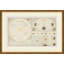 The Solar System Giclee Print