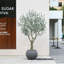 Akita 7' Faux Olive Tree