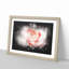 Pale Pink Rose - Picture Frame Graphic Art Print-56861570-56861565