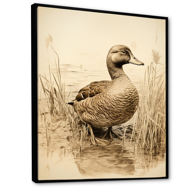 «Brown Duck Elegance II» - Art mural animal canard, Cadre flottant noir, 40" H x 30" W