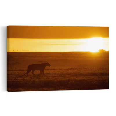 Golden Hour Lioness Serene Abstract Contemporary Cat Lion Landscape Nature Wall Art Print 1 Piece Wrapped Canvas Wall Art