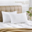 Oreiller en polyester - Sleep by Wayfair ™-1390211850-1343429502