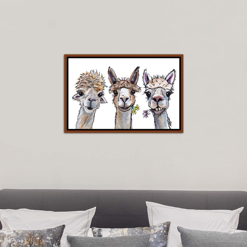 «Alpacas Trio II», reproduction de photo, Cadre bois classique, H 18 po x l 26 po x P 1,5 po