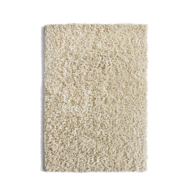 Jacinta Rectangle Wool Hand Woven Area Rug